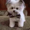 Hi emote