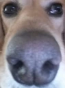WAKEUP emote