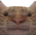 bruh emote