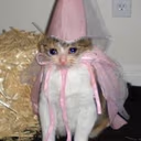 CE_SadFairy emote
