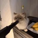 sybau emote