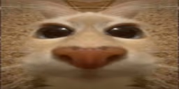 otto emote