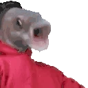OOOOBANG emote