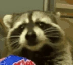 veryRacc emote