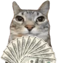 motion emote