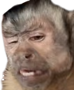monkeHuh emote