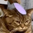 StreamElements emote
