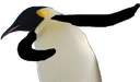 PinguDab emote