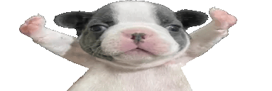 STOPFIGHTINGWIDE animated emote