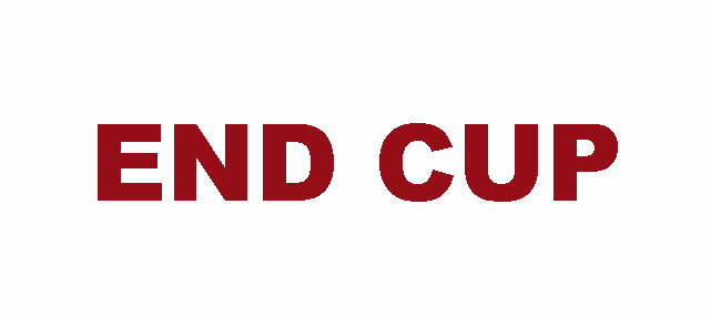 ENDCUP emote