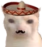 MexicoCat emote