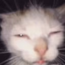 wha emote
