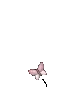 butterfly1 emote