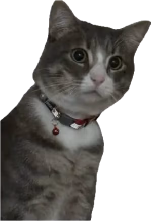 el_joey_67 emote