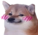 blushies emote