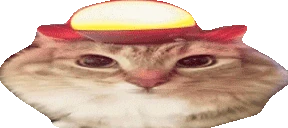 ALERT emote