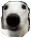 Leon emote