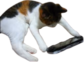 viewer emote