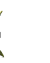 DIDSOMEONESAYMM emote