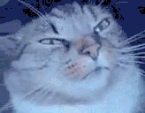 narkotiki emote