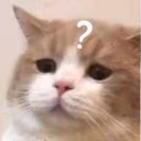 CE_CatQuestion emote