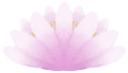 lotus_flower static emote