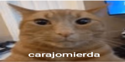 carajomierda emote