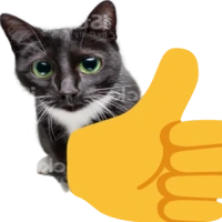 thumbsupcat emote