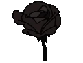 MidnightRose emote