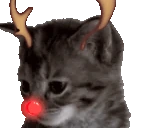 yawner emote