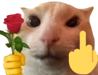 catFuRose emote