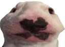 epic emote