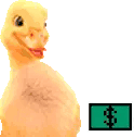 BANCOESTADOCTM animated emote