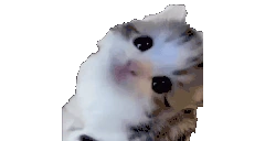 ermtosis emote