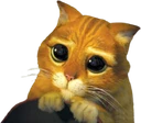 shrek_cat emote