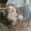 murder emote