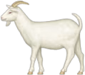 goat emote