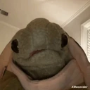 boo emote