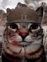 ThousandYardStare emote