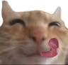 swagyum emote