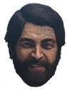 pilot emote