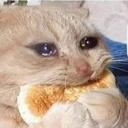 CE_sadeating emote