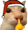 callao emote