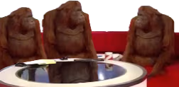 monkeMeeting emote