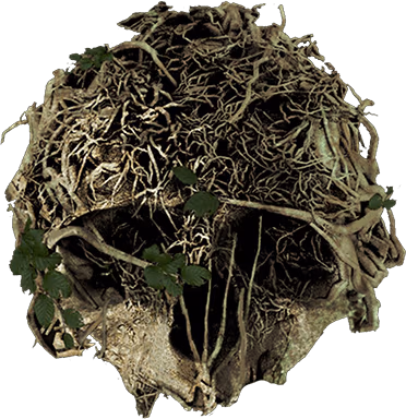 theforest emote