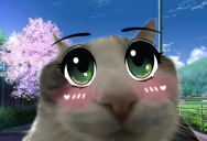 wiresu static emote