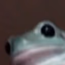 frog emote
