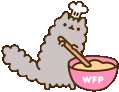 Stormy_Cooking emote