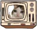Crycat emote