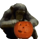 MODS emote